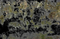 High Resolution Decal Dirty Texture 0006